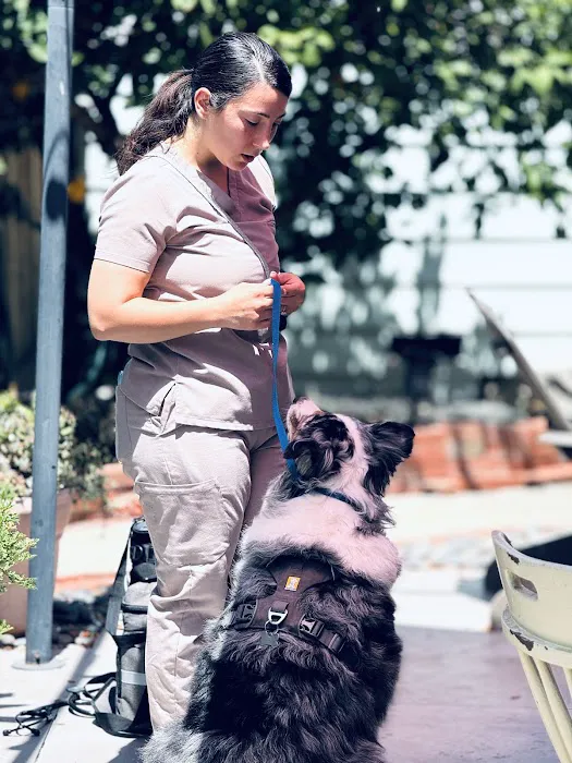 Saving Grace Mobile Veterinary Services Picture 5