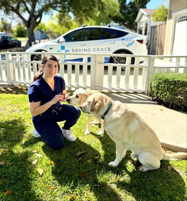 Saving Grace Mobile Veterinary Services Picture 9