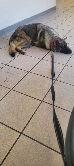 Eagle Glen Veterinary Clinic Picture 1