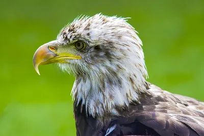 Eagle Glen Veterinary Clinic Picture 9