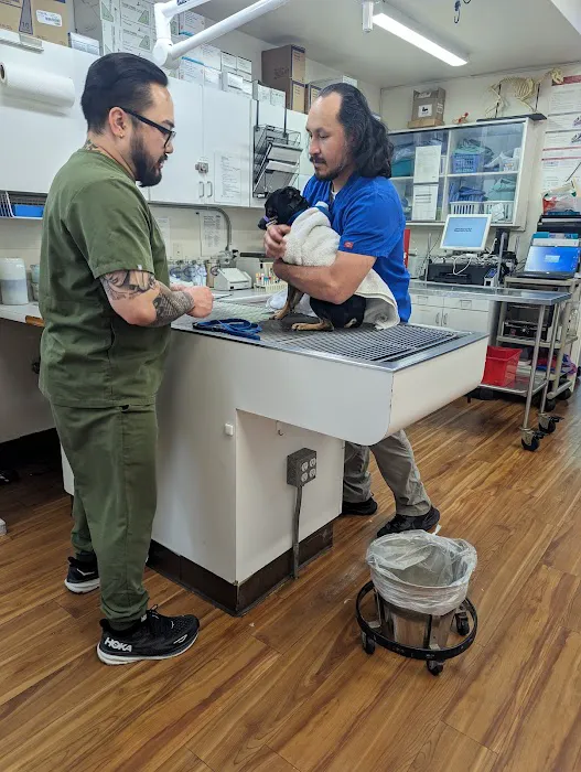 Eagle Glen Veterinary Clinic Picture 4