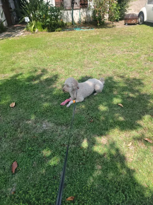 Eagle Rock Animal Emergency Picture 2