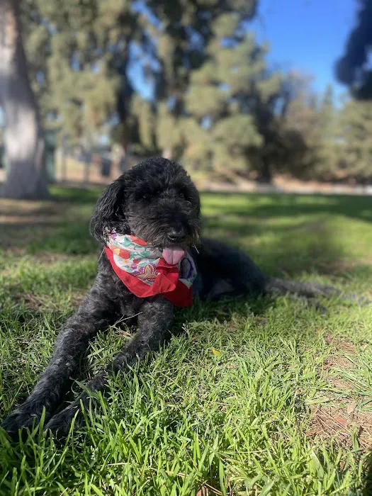 Eagle Rock Animal Emergency Picture 10