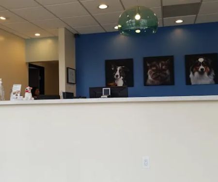 Eagle Rock Pet Care