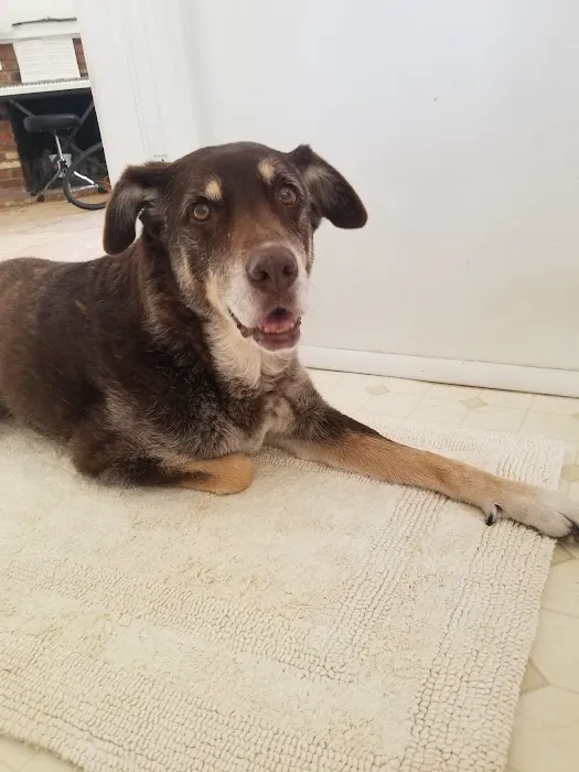 Eagle Rock Pet Care Picture 2