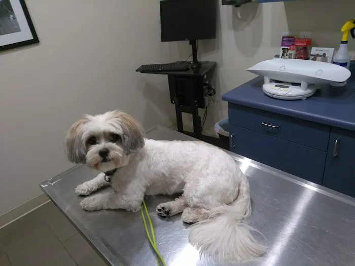 Eagle Rock Pet Care Picture 4