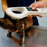 Highland Park Animal Hospital