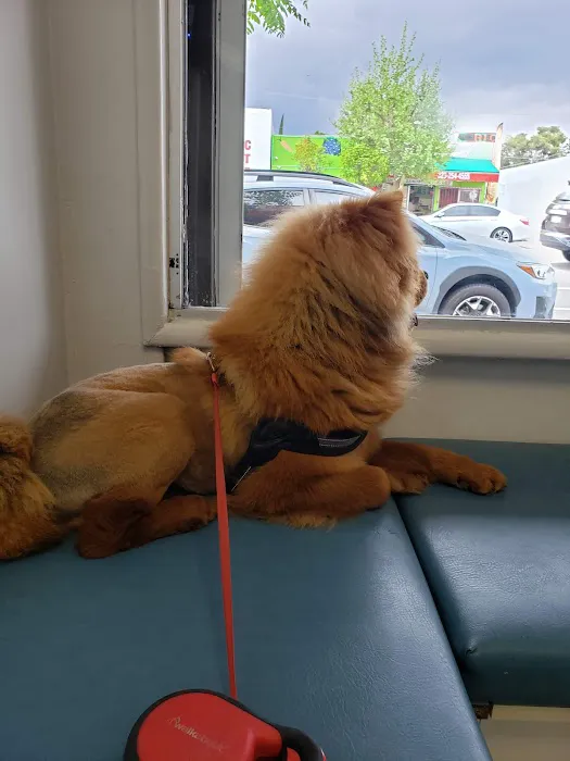 Highland Park Animal Hospital Picture 7