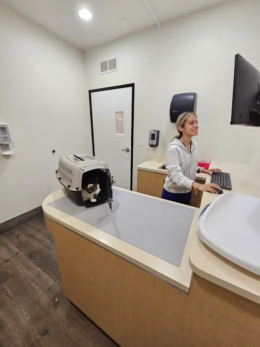 Griffith Pet Hospital Picture 2