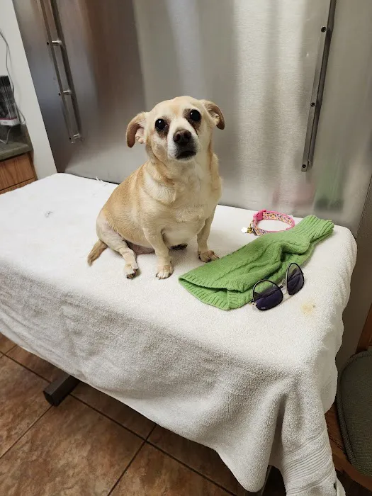 Sweetwater Veterinary Clinic Picture 4