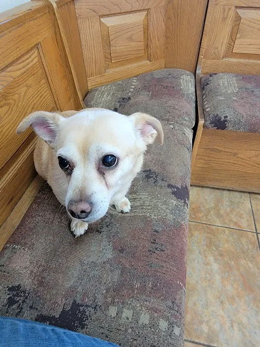 Sweetwater Veterinary Clinic Picture 5