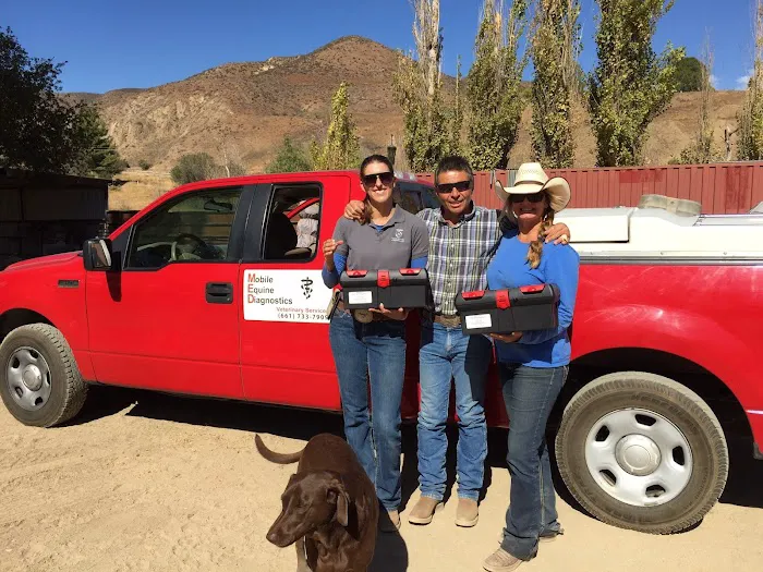 Mobile Equine Diagnostics, Inc. Picture 1