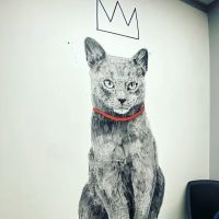 The Melrose Vet ico