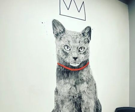 The Melrose Vet