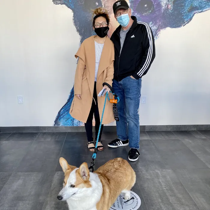 The Melrose Vet Picture 5