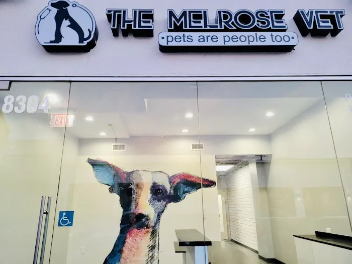 The Melrose Vet Picture 2