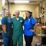 VCA Los Angeles Veterinary Specialists