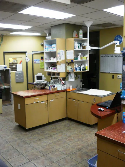 VCA Los Angeles Veterinary Specialists Picture 6