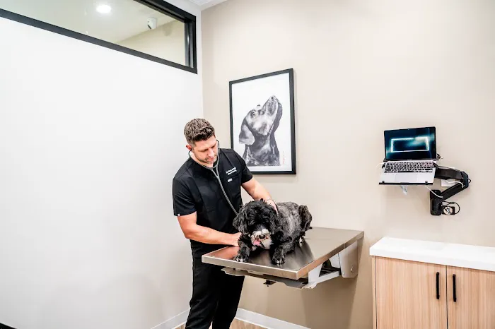 Paw Priority: Veterinary Urgent and Primary Care Picture 6