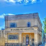 Laurel Pet Hospital: Seoud Moustafa T DVM