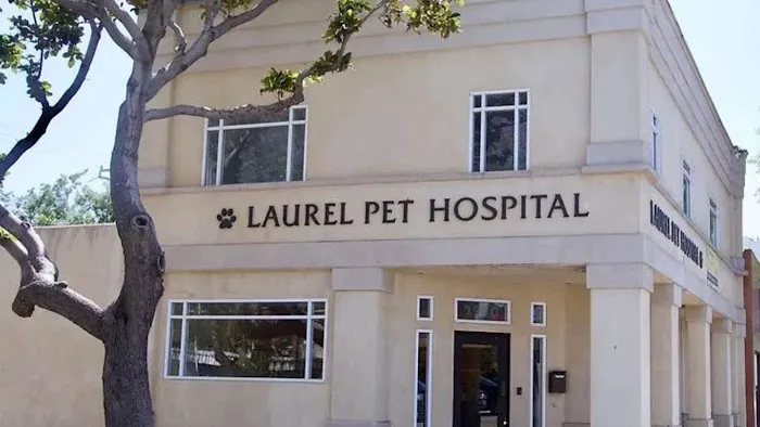 Laurel Pet Hospital Picture 4