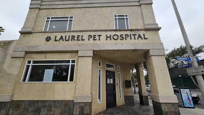 Laurel Pet Hospital Picture 6