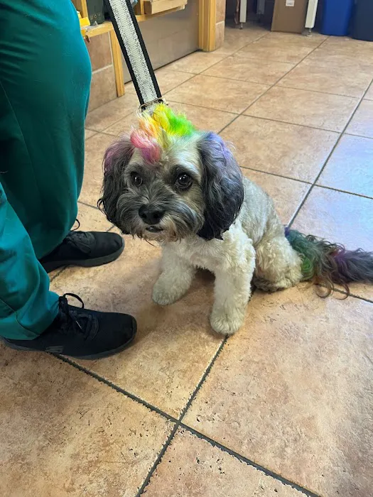 Laurel Pet Hospital Picture 10