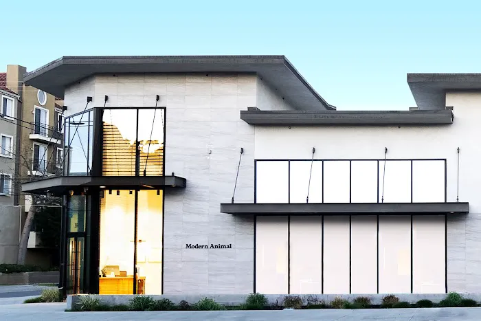Modern Animal - La Brea Picture 10