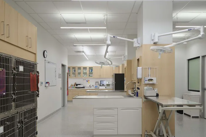 Hancock Park Veterinary Clinic Picture 1