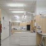 Hancock Park Veterinary Clinic