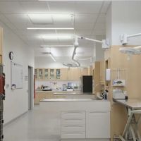 Hancock Park Veterinary Clinic ico