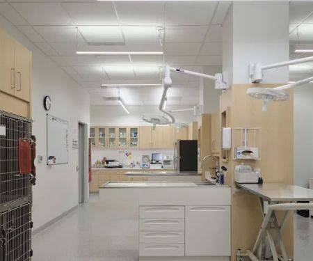 Hancock Park Veterinary Clinic