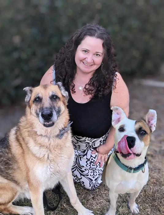 Hancock Park Veterinary Clinic Picture 6