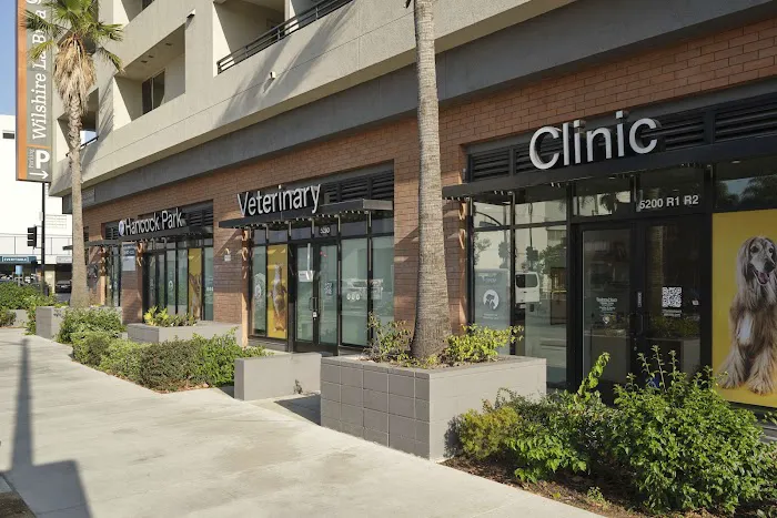 Hancock Park Veterinary Clinic Picture 7