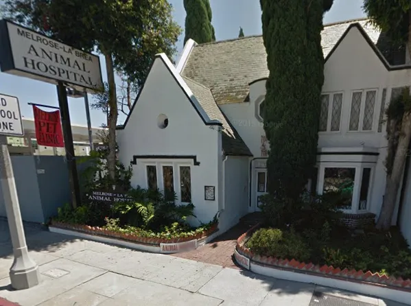 Melrose La Brea Animal Hospital Picture 9