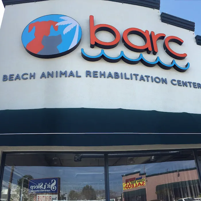 Beach Animal Rehabilitation Picture 2