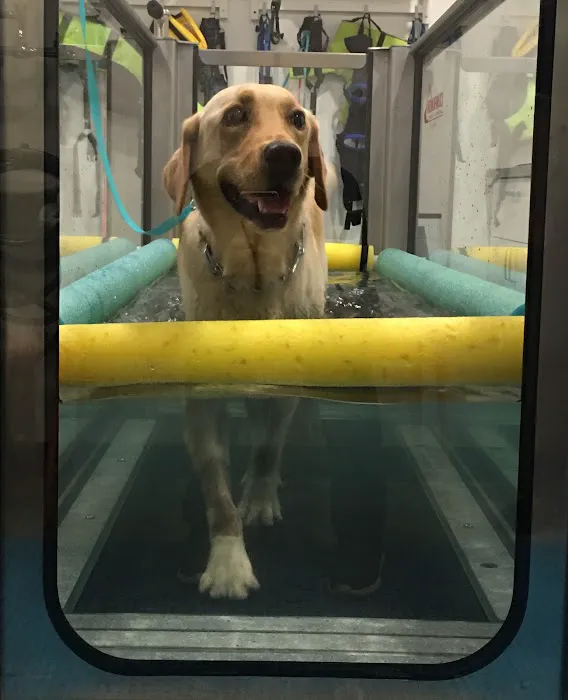 Beach Animal Rehabilitation Picture 10