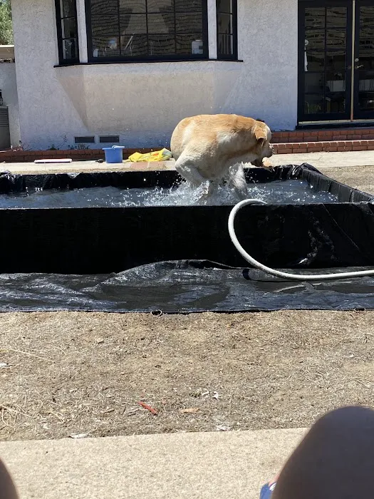 Country Hills Animal Clinic Picture 2