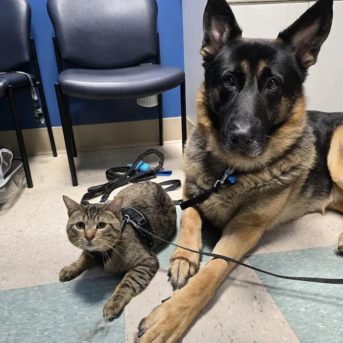 Pacific Animal Hospital Picture 2