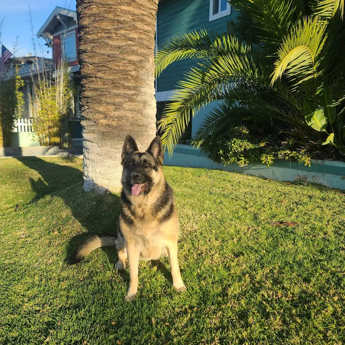 Pacific Animal Hospital Picture 3