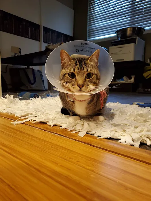 Pacific Animal Hospital Picture 9