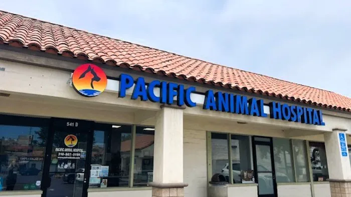 Pacific Animal Hospital Picture 10