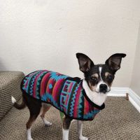 Pacific Coast Animal Hospital ico