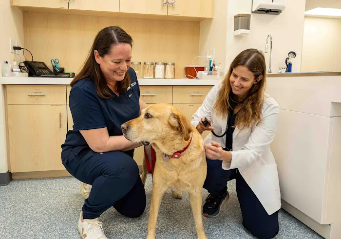 Pacific Coast Animal Hospital Picture 7