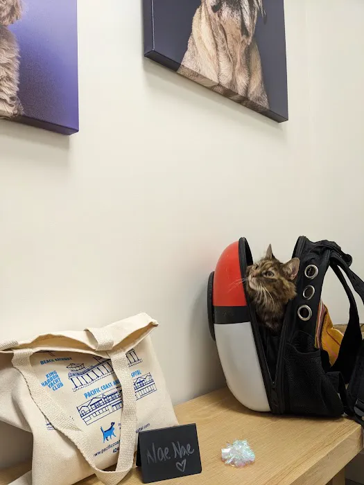 Pacific Coast Animal Hospital Picture 6