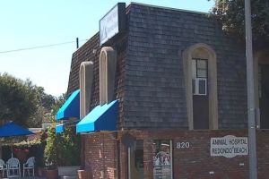 Auto Service Center
