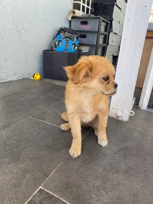 Florence Pet Clinic Picture 3