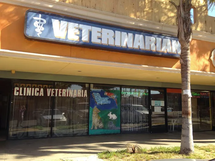 Florence Pet Clinic Picture 6