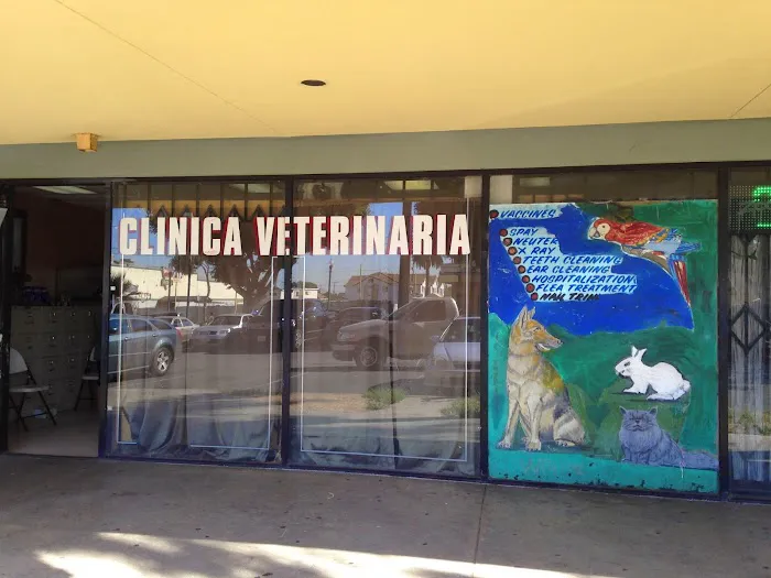 Florence Pet Clinic Picture 9