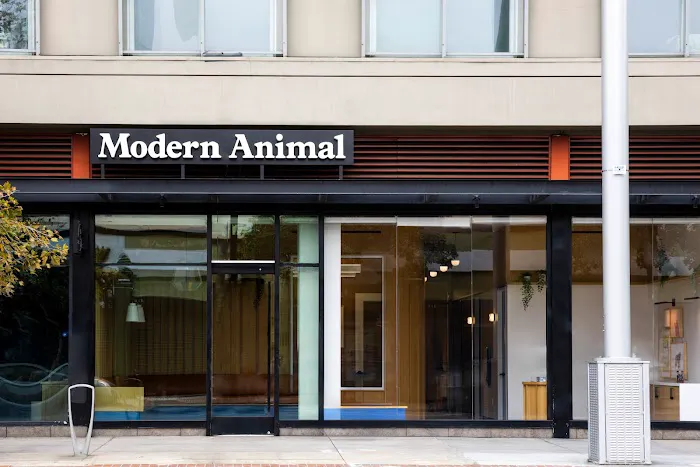Modern Animal Picture 5